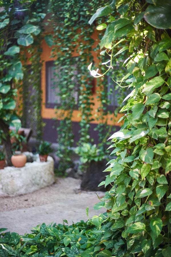Secret Garden Tulum Hotel Exterior photo